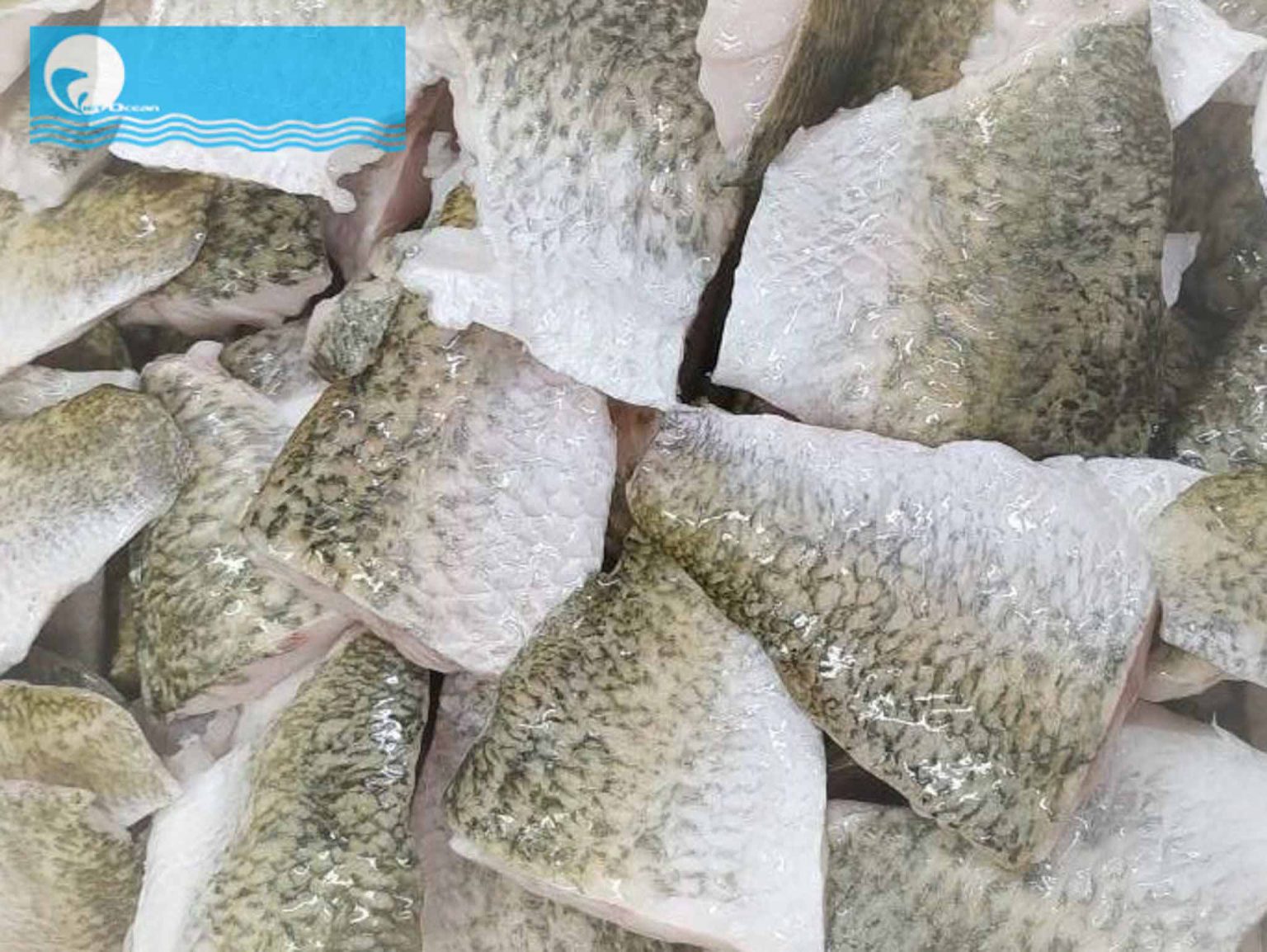 Frozen Barramundi portion skin on, boneless, CO treated VietoceanSeafood