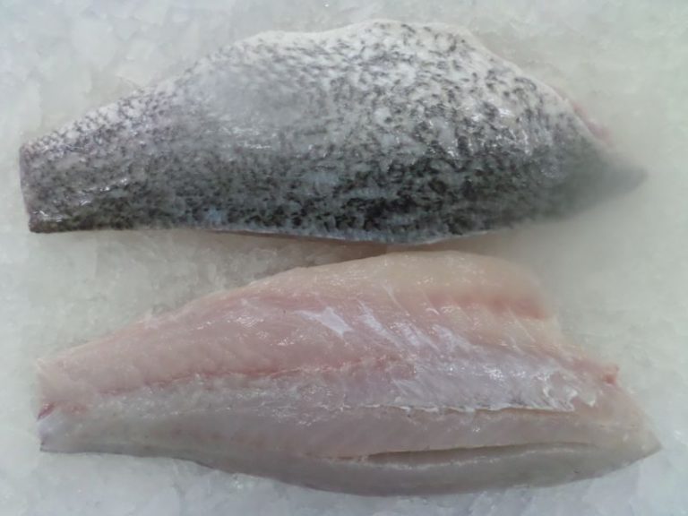 Frozen Barramundi fillet skin on, boneless, CO treated VietoceanSeafood
