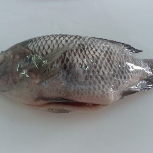 Tilapia – VietoceanSeafood