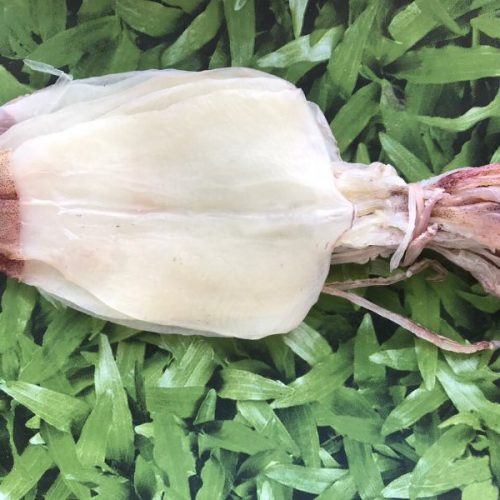 Dried squid – VietoceanSeafood