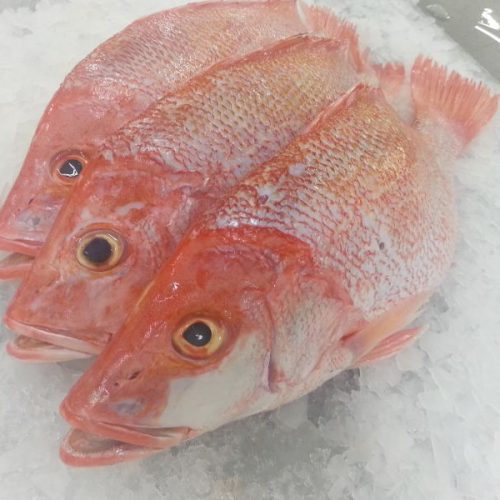 Frozen Snapper whole fish/whole cleaned – VietoceanSeafood