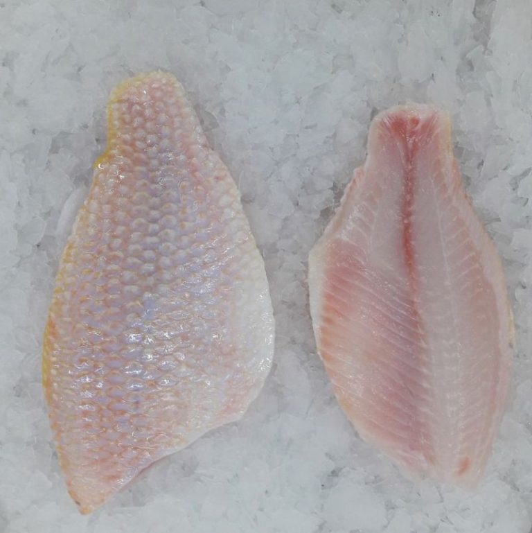 Frozen Tilapia fillet skinless, boneless, CO treated VietoceanSeafood