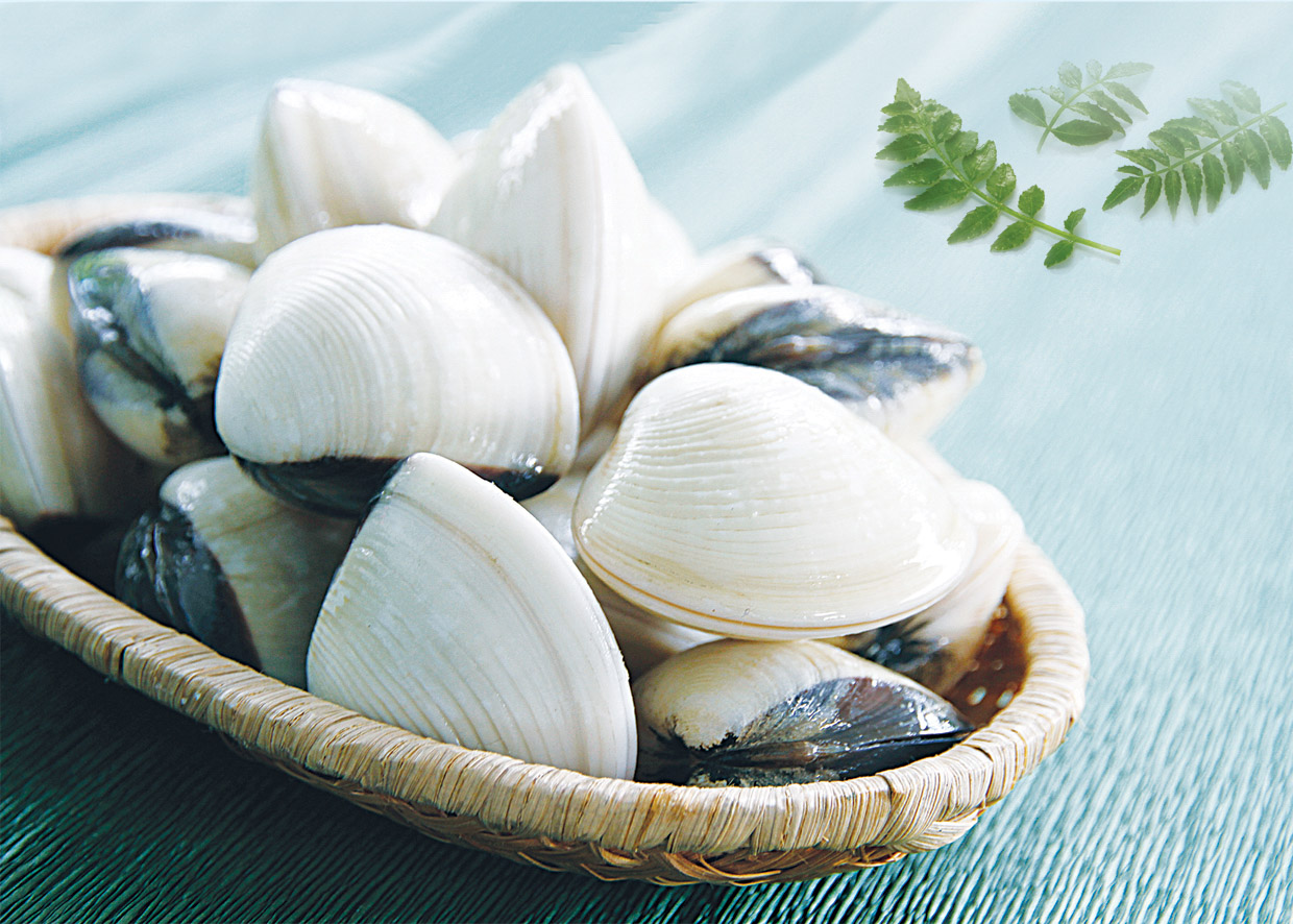 Clam Shell On – VietoceanSeafood